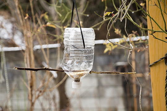 birdfeeder03