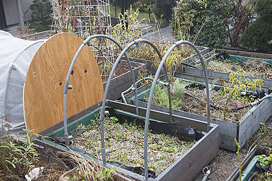 coldframe03