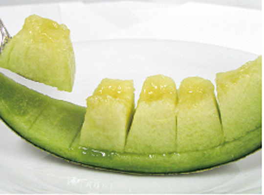 melon01