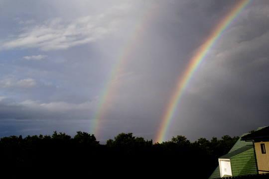drainbow01