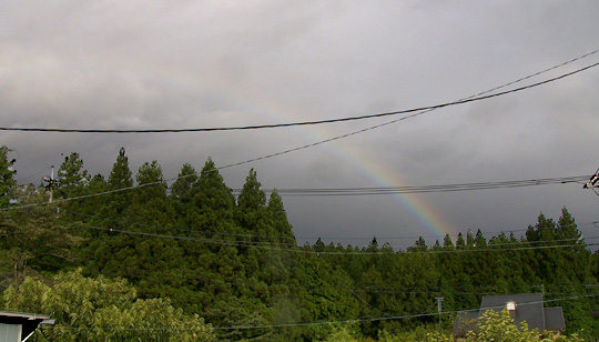 rainbow01